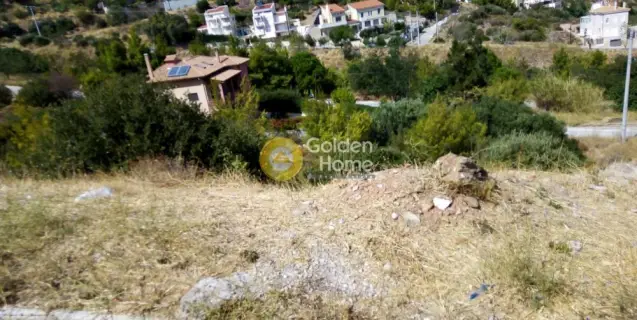 Residential 1482m<sup>2</sup> for sale photo 8