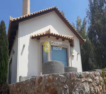 Μονοκατοικία 280τ.μ. προς πώληση φωτογραφία 56