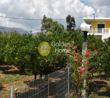 Golden Home Property Image