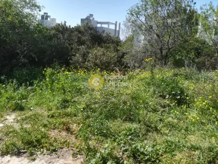 Residential 600m<sup>2</sup> for sale photo 7