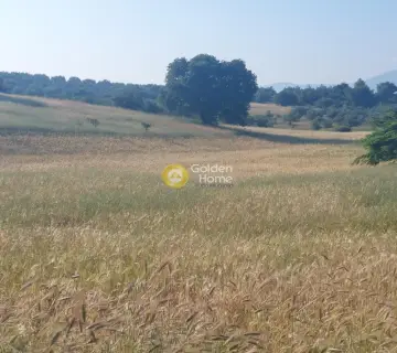 Professional Plot 8700m<sup>2</sup> for sale photo 3681731