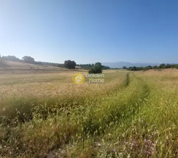 Professional Plot 8700m<sup>2</sup> for sale photo 3681729