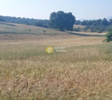 Professional Plot 8700m<sup>2</sup> for sale photo 3681732