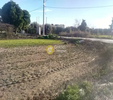 Residential 4000m<sup>2</sup> for sale photo 3