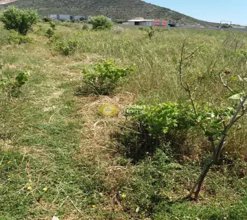 Αγροτεμάχιο 1320τ.μ. προς πώληση φωτογραφία 3