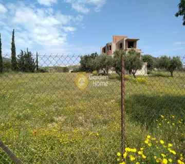 Professional Plot 6000m<sup>2</sup> for sale photo 1