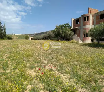 Professional Plot 6000m<sup>2</sup> for sale photo 13