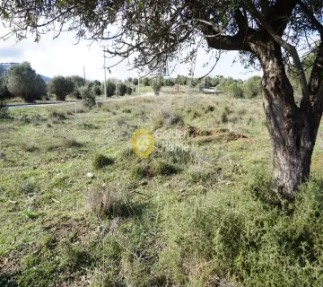 Professional Plot 2037m<sup>2</sup> for sale photo 1670874