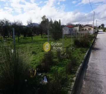 Professional Plot 2037m<sup>2</sup> for sale photo 1670875