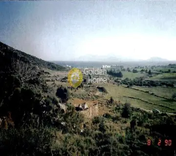 Professional Plot 46600m<sup>2</sup> for sale photo 2268167