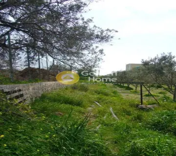 Residential 3640m<sup>2</sup> for sale photo 3
