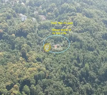 住宅 4270m<sup>2</sup> for sale photo 5