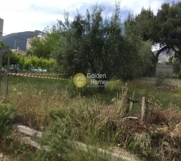 Οικιστικό 1469τ.μ. προς πώληση φωτογραφία 1674284