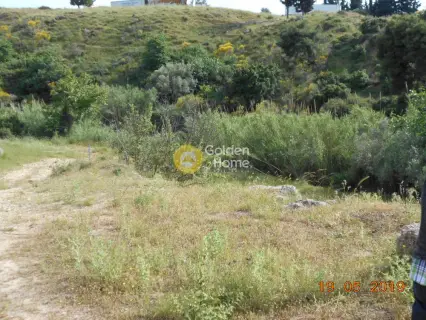 Αγροτεμάχιο 3740τ.μ. προς πώληση φωτογραφία 5