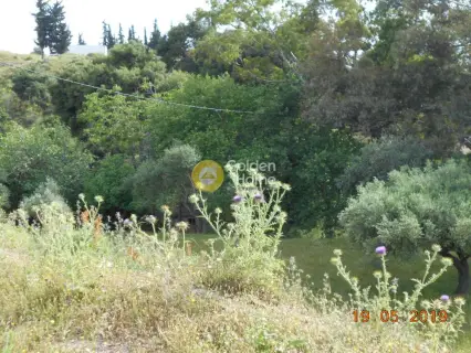 Αγροτεμάχιο 3740τ.μ. προς πώληση φωτογραφία 11