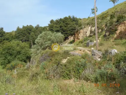 Αγροτεμάχιο 3740τ.μ. προς πώληση φωτογραφία 8