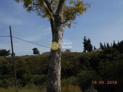 Αγροτεμάχιο 3740τ.μ. προς πώληση φωτογραφία 18