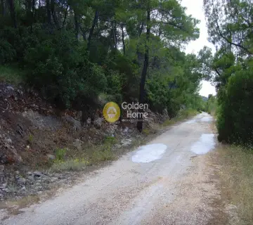 Residential 1070m<sup>2</sup> for sale photo 1695574