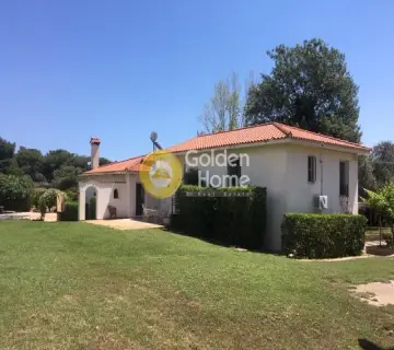 Μονοκατοικία 376τ.μ. προς πώληση φωτογραφία 1