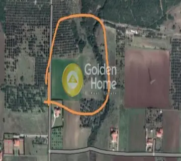 Golden Home Property Image