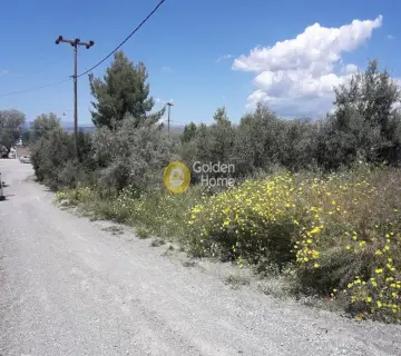 Parcel 520m<sup>2</sup> for sale photo 7
