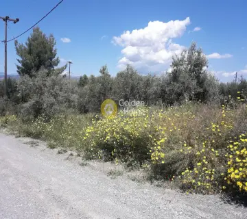 Parcel 520m<sup>2</sup> for sale photo 8