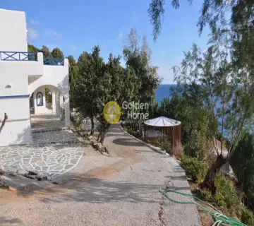 Μονοκατοικία 240τ.μ. προς πώληση φωτογραφία 10