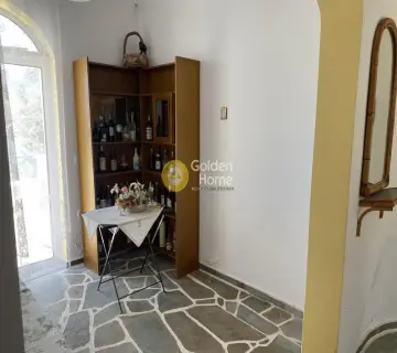 Μονοκατοικία 240τ.μ. προς πώληση φωτογραφία 38