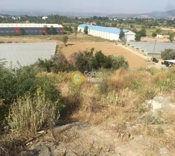 Parcel 25000m<sup>2</sup> for sale photo 17