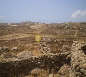 Professional Plot 36000m<sup>2</sup> for sale photo 1691891