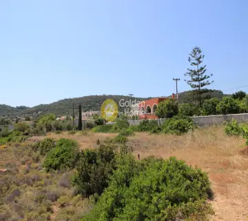 Residential 1663m<sup>2</sup> for sale photo 14