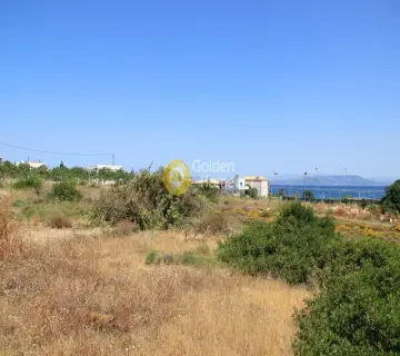 Residential 1663m<sup>2</sup> for sale photo 3
