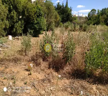 Professional Plot 280m<sup>2</sup> for sale photo 1