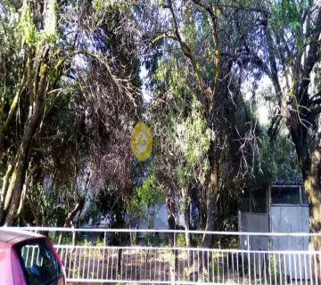 Residential 815m<sup>2</sup> for sale photo 1
