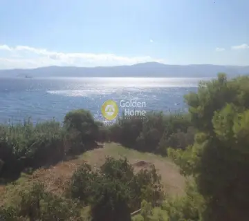 Κτίριο 500τ.μ. προς πώληση φωτογραφία 2