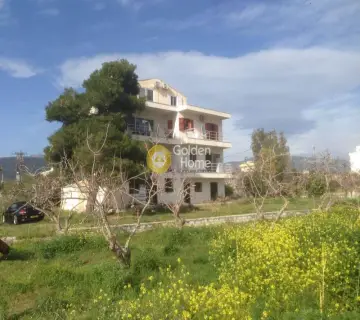 Κτίριο 500τ.μ. προς πώληση φωτογραφία 7