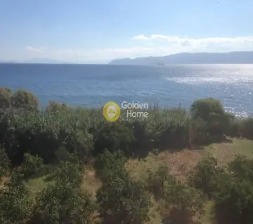 Κτίριο 500τ.μ. προς πώληση φωτογραφία 3144917