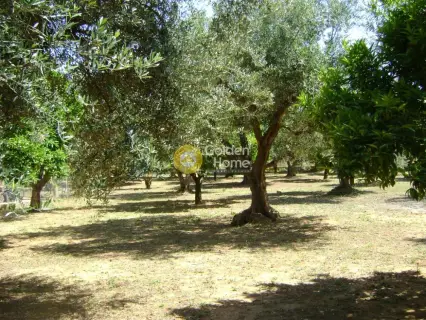 House 185m<sup>2</sup> for sale photo 20
