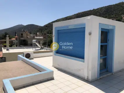 Μονοκατοικία 223τ.μ. προς πώληση φωτογραφία 35