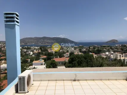 Μονοκατοικία 223τ.μ. προς πώληση φωτογραφία 36