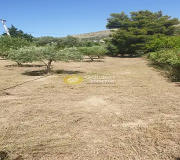 Αγροτεμάχιο 5467τ.μ. προς πώληση φωτογραφία 1824470