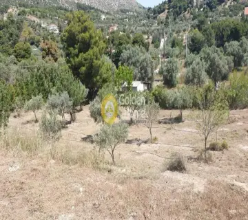 Αγροτεμάχιο 5467τ.μ. προς πώληση φωτογραφία 1824472