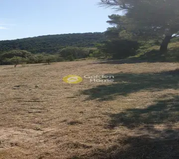 Αγροτεμάχιο 5467τ.μ. προς πώληση φωτογραφία 1824471