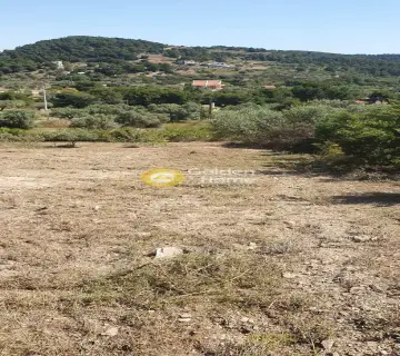 Αγροτεμάχιο 5467τ.μ. προς πώληση φωτογραφία 1824473