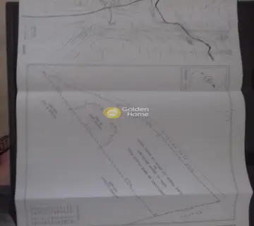 Αγροτεμάχιο 5467τ.μ. προς πώληση φωτογραφία 1824474