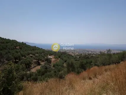 Αγροτεμάχιο 5300τ.μ. προς πώληση φωτογραφία 1717993