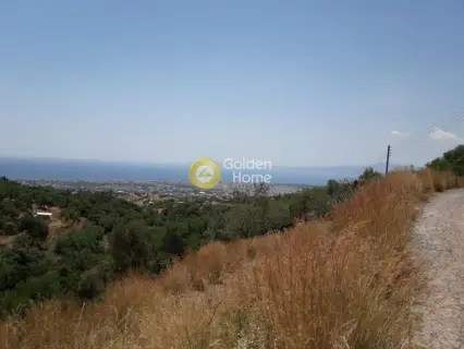 Αγροτεμάχιο 5300τ.μ. προς πώληση φωτογραφία 1717994