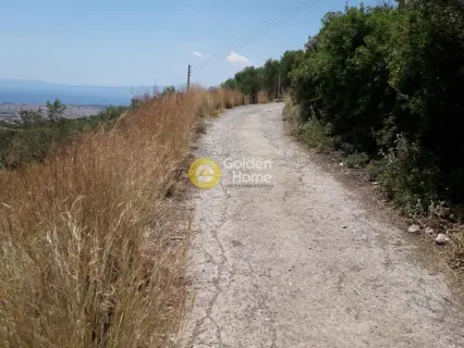 Αγροτεμάχιο 5300τ.μ. προς πώληση φωτογραφία 1717995