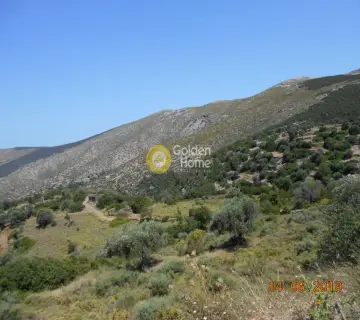 Residential 13500m<sup>2</sup> for sale photo 9