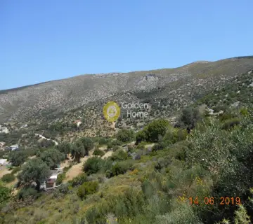 Residential 13500m<sup>2</sup> for sale photo 15